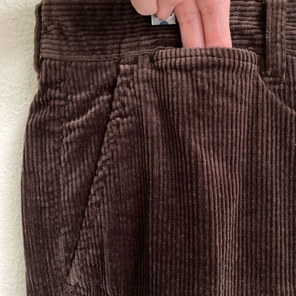 Taylor Stitch The Democratic Foundation Espresso Brown Cords Pants Variety Sizes - Picture 8 of 13